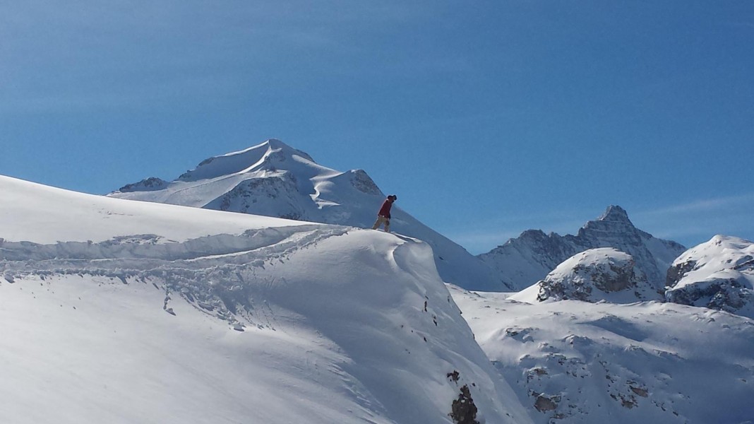 1836863_766183723409322_399187322_o